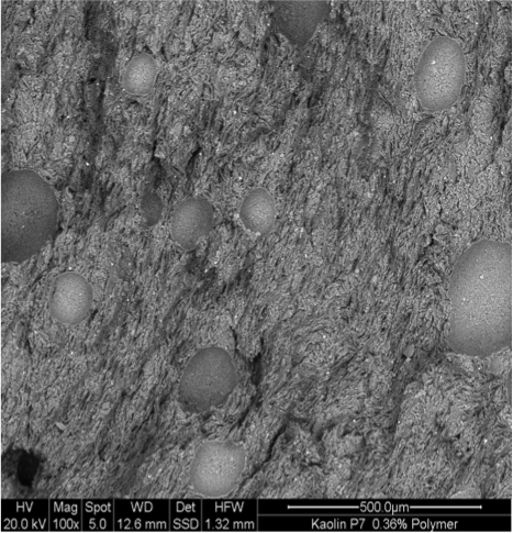 Enlarged view: ESEM image of conditioned clay: particle orientation induced by repulsing forces and foam bubbles in the soil matrix